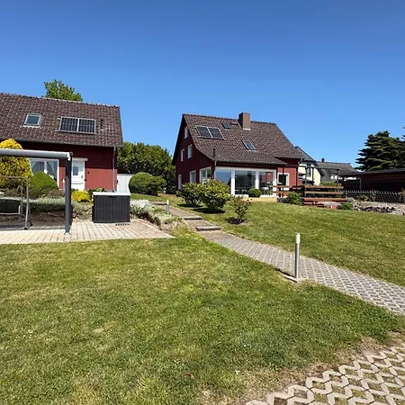 Ringelrobbe * Alt Reddevitz